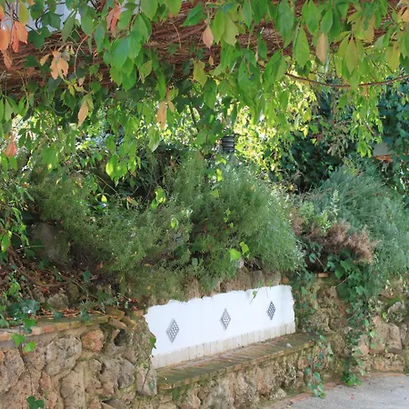 Country house Rural Puerto Magina Torres (Jaen)