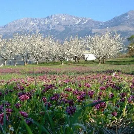 Rural Puerto Magina Torres (Jaen)